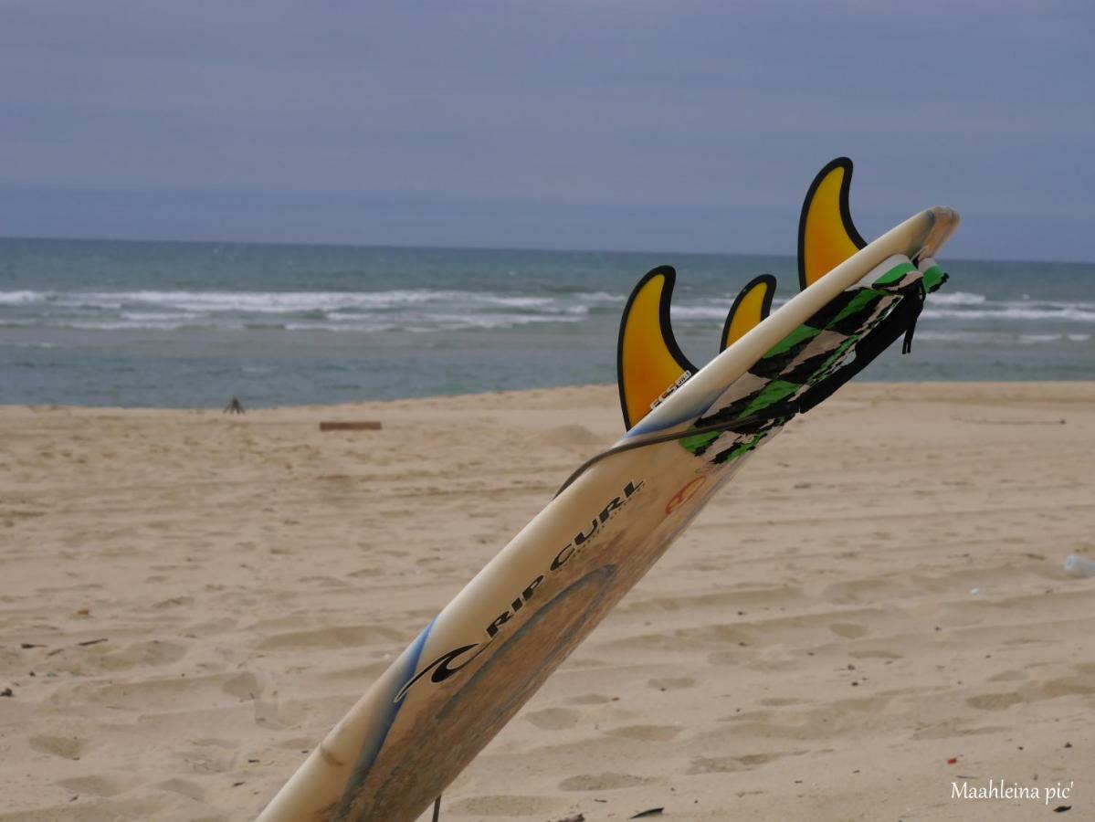 Au Coeur Du Bassin D'Arcachon Lägenhet Gujan-Mestras Exteriör bild