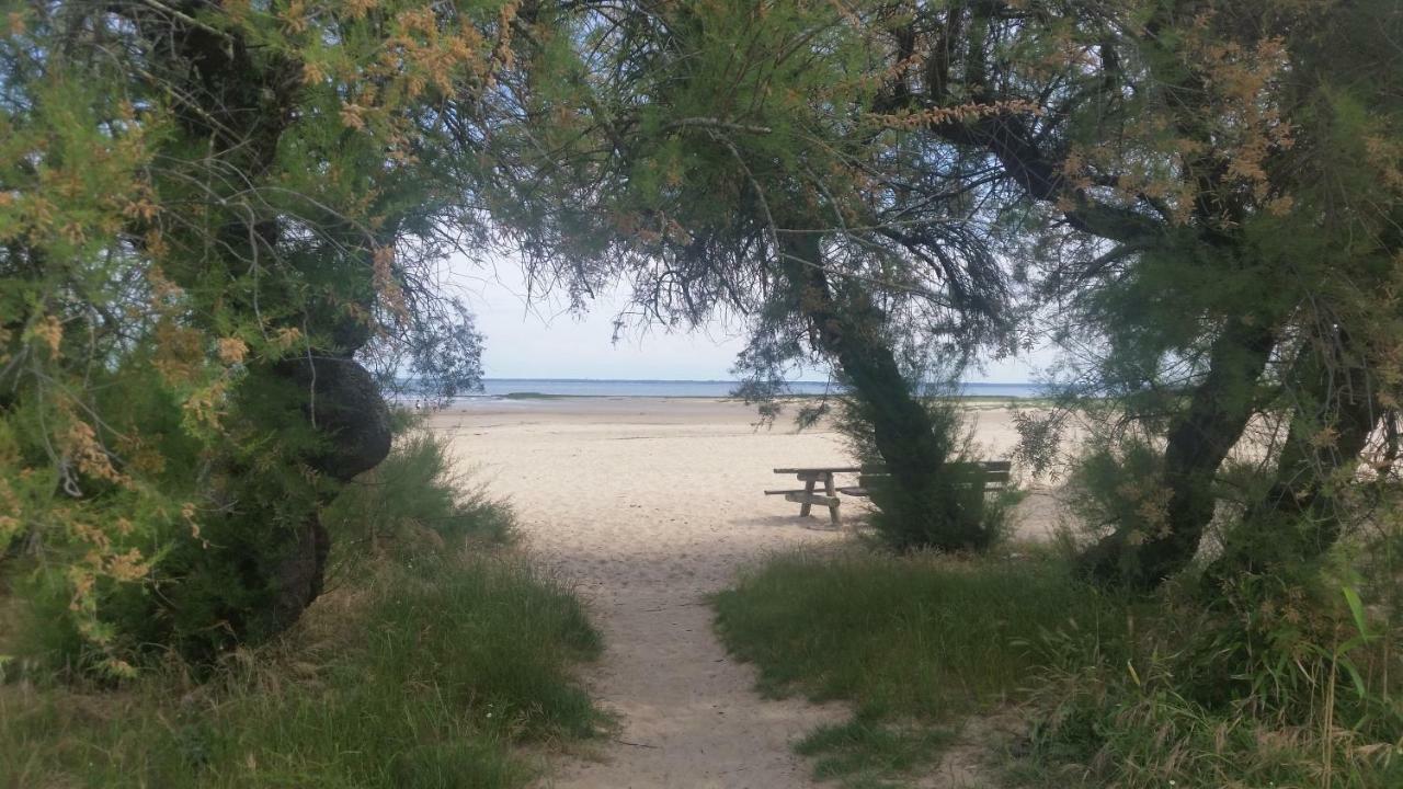 Au Coeur Du Bassin D'Arcachon Lägenhet Gujan-Mestras Exteriör bild