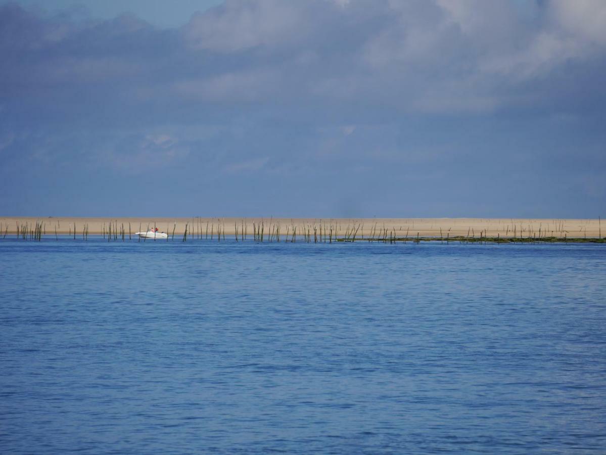 Au Coeur Du Bassin D'Arcachon Lägenhet Gujan-Mestras Exteriör bild